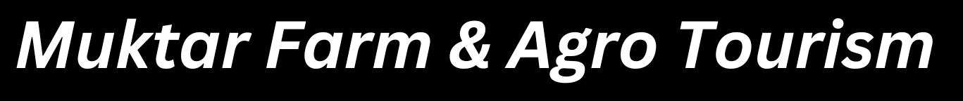 logo-img